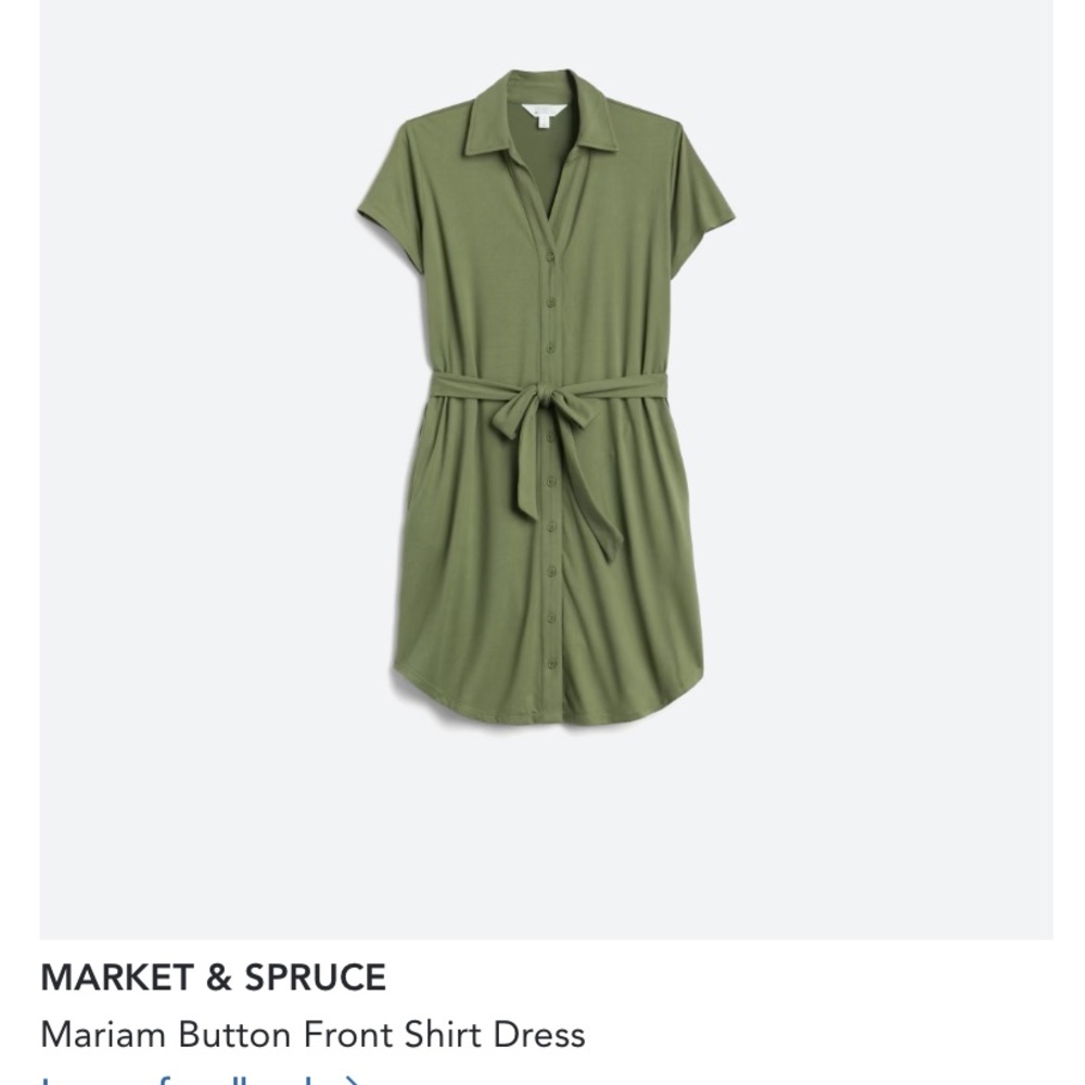 NWT Stitch Fix button down dress olive green